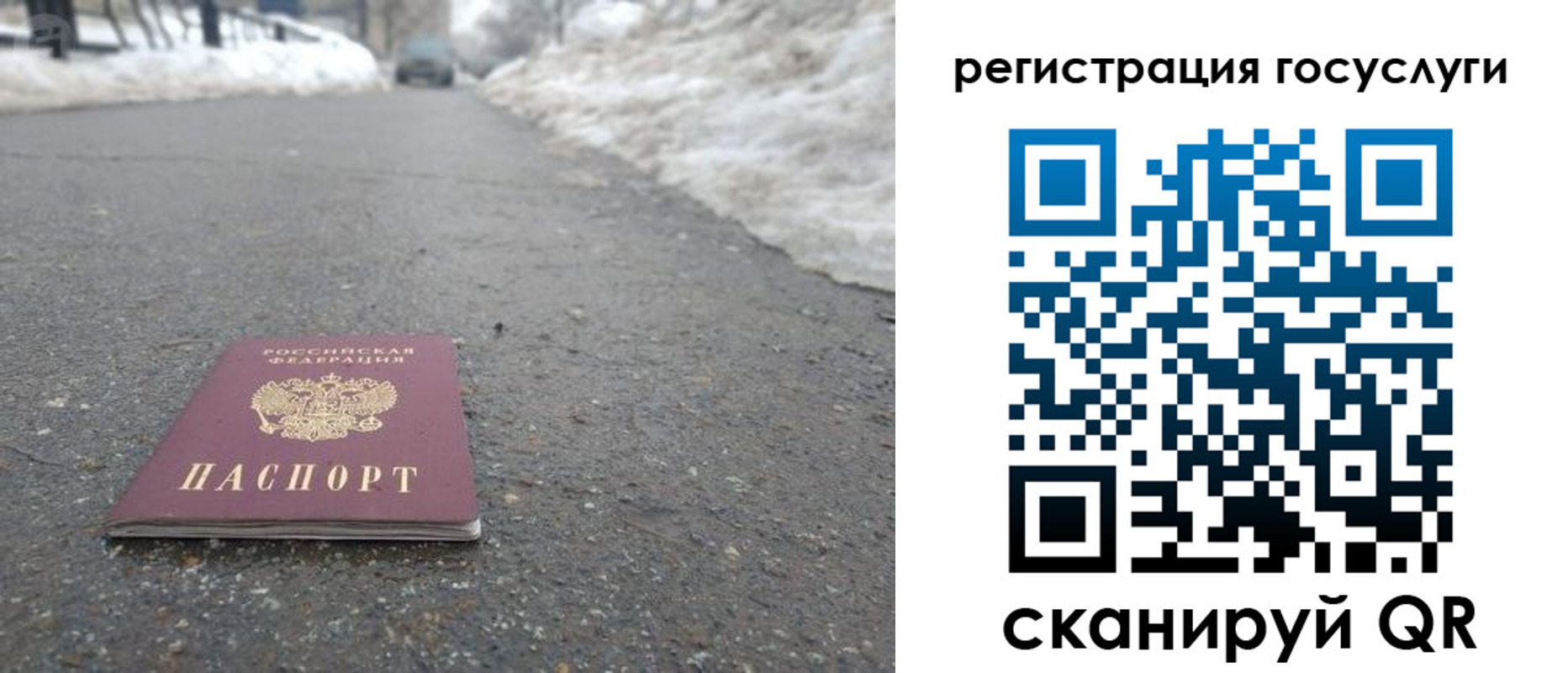 прописка поиск в Хабаровске